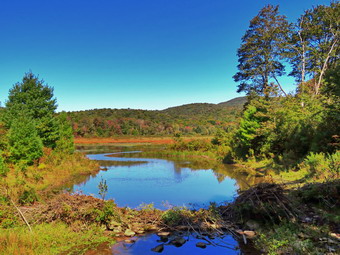 picture taken during a hike