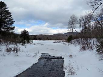 picture taken during a hike