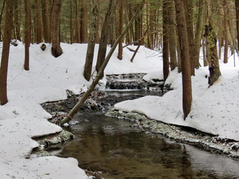 picture taken during a hike