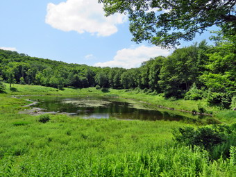 picture taken during a hike