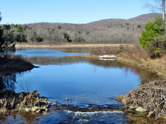 picture taken during a hike