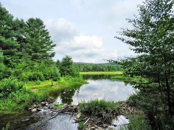 picture taken during a hike