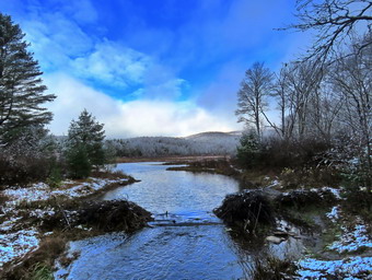 picture taken during a hike