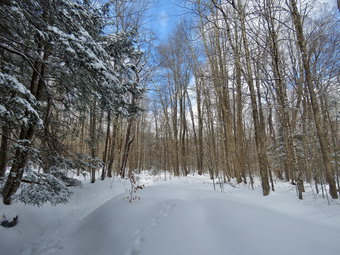 picture taken during a hike