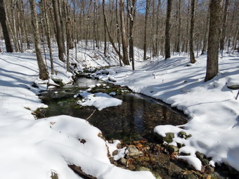 picture taken during a hike