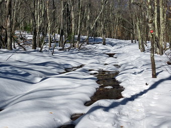 picture taken during a hike