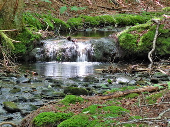 picture taken during a hike