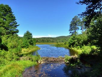 picture taken during a hike