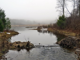 picture taken during a hike