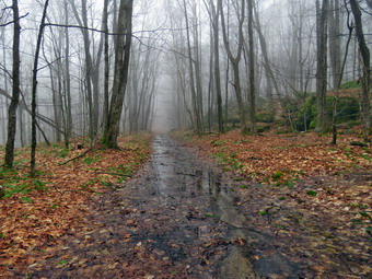 picture taken during a hike