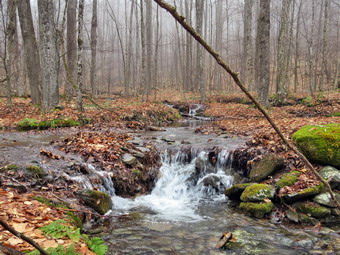 picture taken during a hike