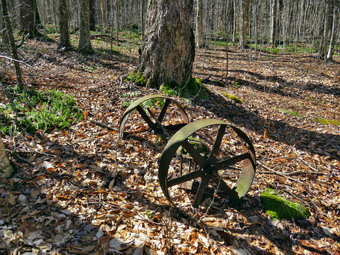 picture taken during a hike