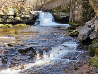 picture taken during a hike