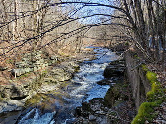 picture taken during a hike