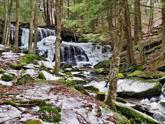 picture taken during a hike