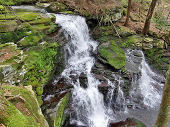 picture taken during a hike