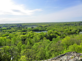 picture taken during a hike