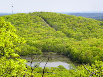 picture taken during a hike