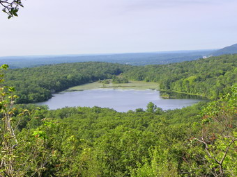 picture taken during a hike