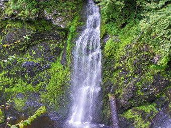 picture taken during a hike