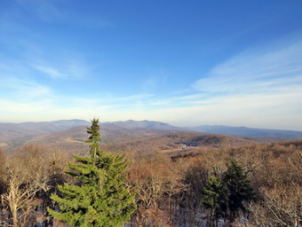 picture taken during a hike