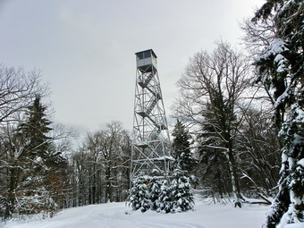 picture taken during a hike