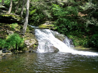 picture taken during a hike