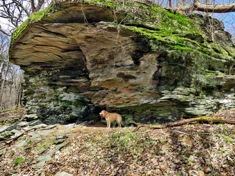 picture taken during a hike