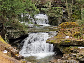 picture taken during a hike