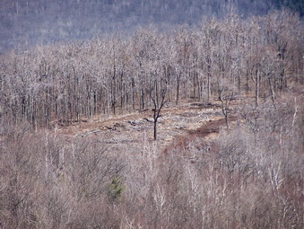 picture taken during a hike