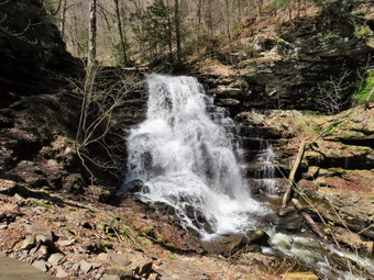 picture taken during a hike