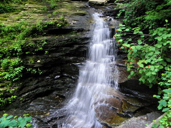 picture taken during a hike