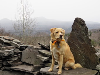 picture taken during a hike