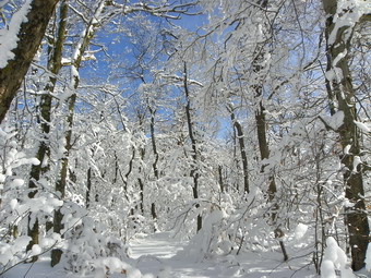 picture taken during a hike