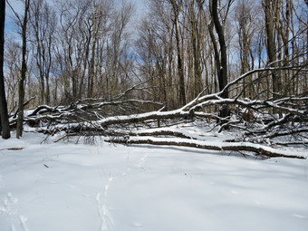 picture taken during a hike