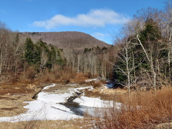 picture taken during a hike