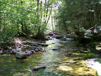 picture taken during a hike