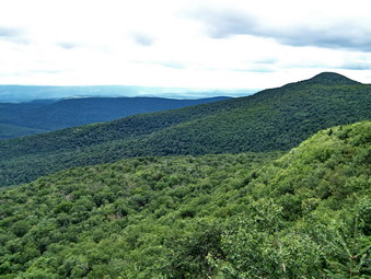 picture taken during a hike