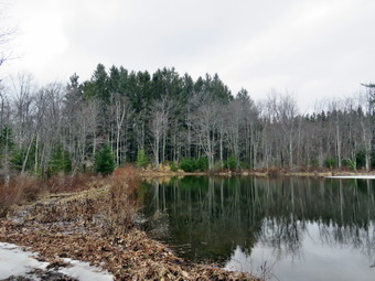 picture taken during a hike