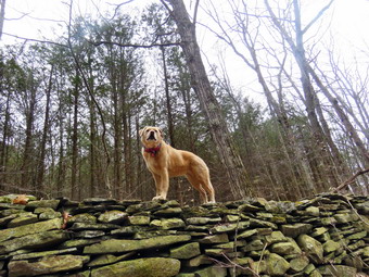 picture taken during a hike