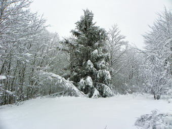 picture taken during a hike