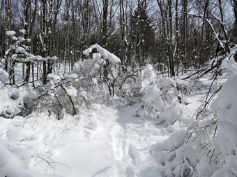 picture taken during a hike