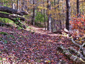 picture taken during a hike