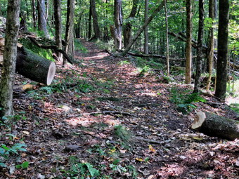 picture taken during a hike