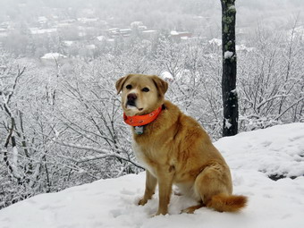 picture taken during a hike