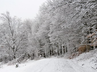 picture taken during a hike