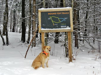 picture taken during a hike