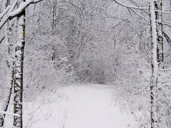 picture taken during a hike