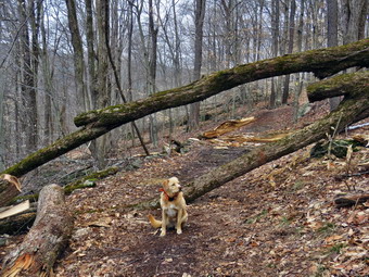 picture taken during a hike