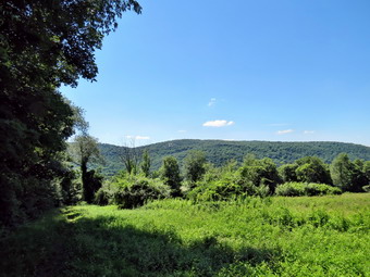 picture taken during a hike